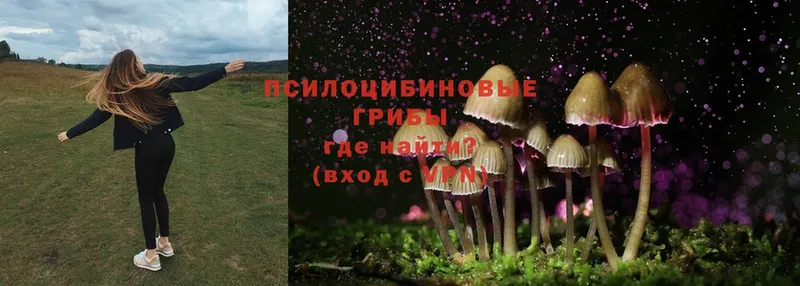 Псилоцибиновые грибы MAGIC MUSHROOMS  Осташков 